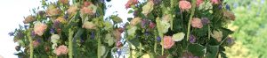 Header_27-01-17-300x66 Header_27-01-17