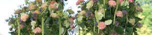 cropped-Header_27-01-17-300x70 cropped-Header_27-01-17.jpg