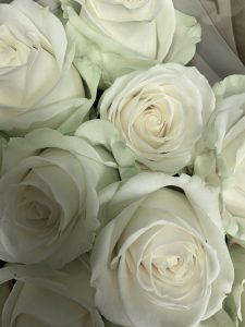 IMG_2466-225x300 IMG_2466