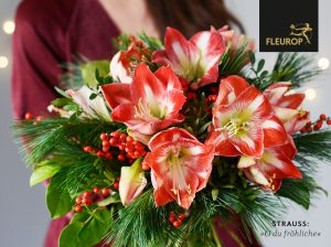 Blumenstrauss_Amaryllis_rotweiss-300x224 Blumenstrauss_Amaryllis_rotweiss