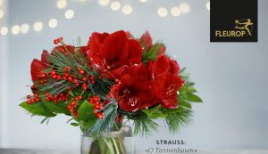 cropped-Blumenstrauss_Amaryllis_rot-300x173 cropped-Blumenstrauss_Amaryllis_rot.jpg