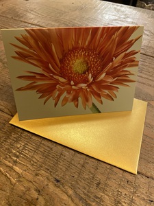 IMG_2393-225x300 Karte_orange_gerbera