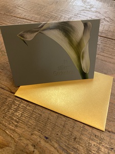 IMG_2394-225x300 Karte_Calla