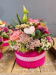IMG_6455-225x300 IMG_6455