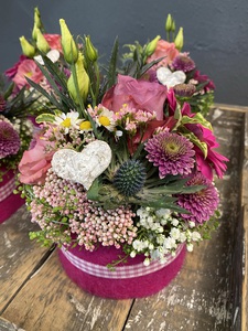 IMG_6456-225x300 IMG_6456