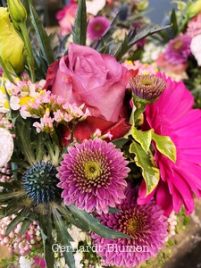 IMG_6457-225x300 IMG_6457